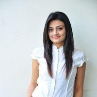 Nikita Narayan at It's My Love Story Movie Preemeet - Pictures | Picture 116712